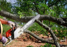 Best Weed Control  in Martinsvle, IL
