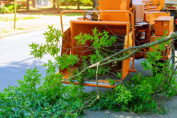 Best Grass Overseeding  in Martinsvle, IL